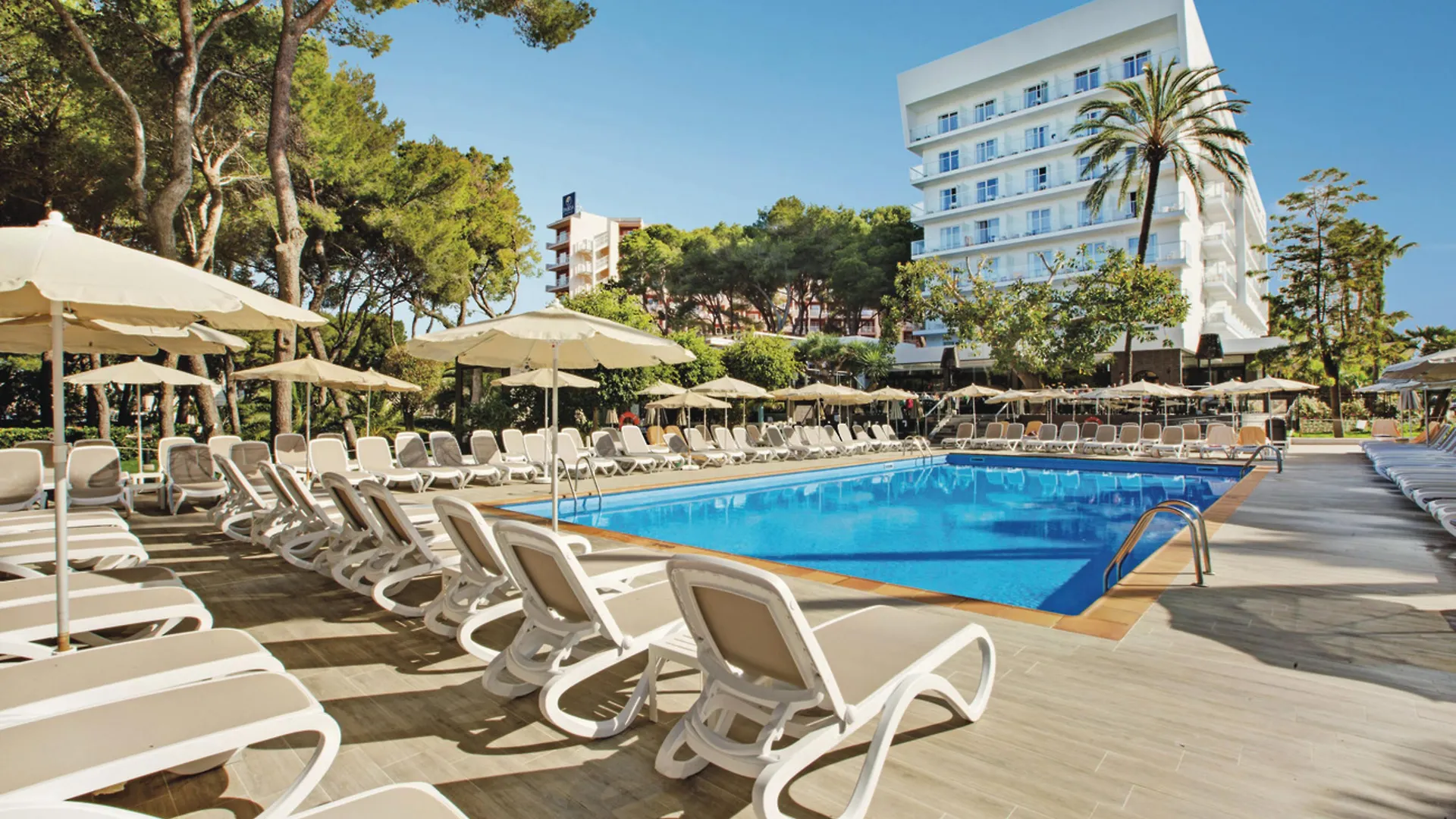 Hotel Riu Festival Playa de Palma  4*, Playa de Palma (Mallorca)